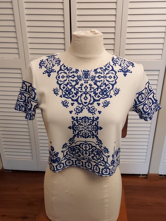 Tops - China Pattern Crop Top